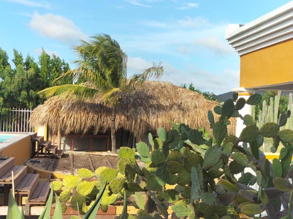 كراليندايك Landhuis Belnem Bonaire المظهر الخارجي الصورة